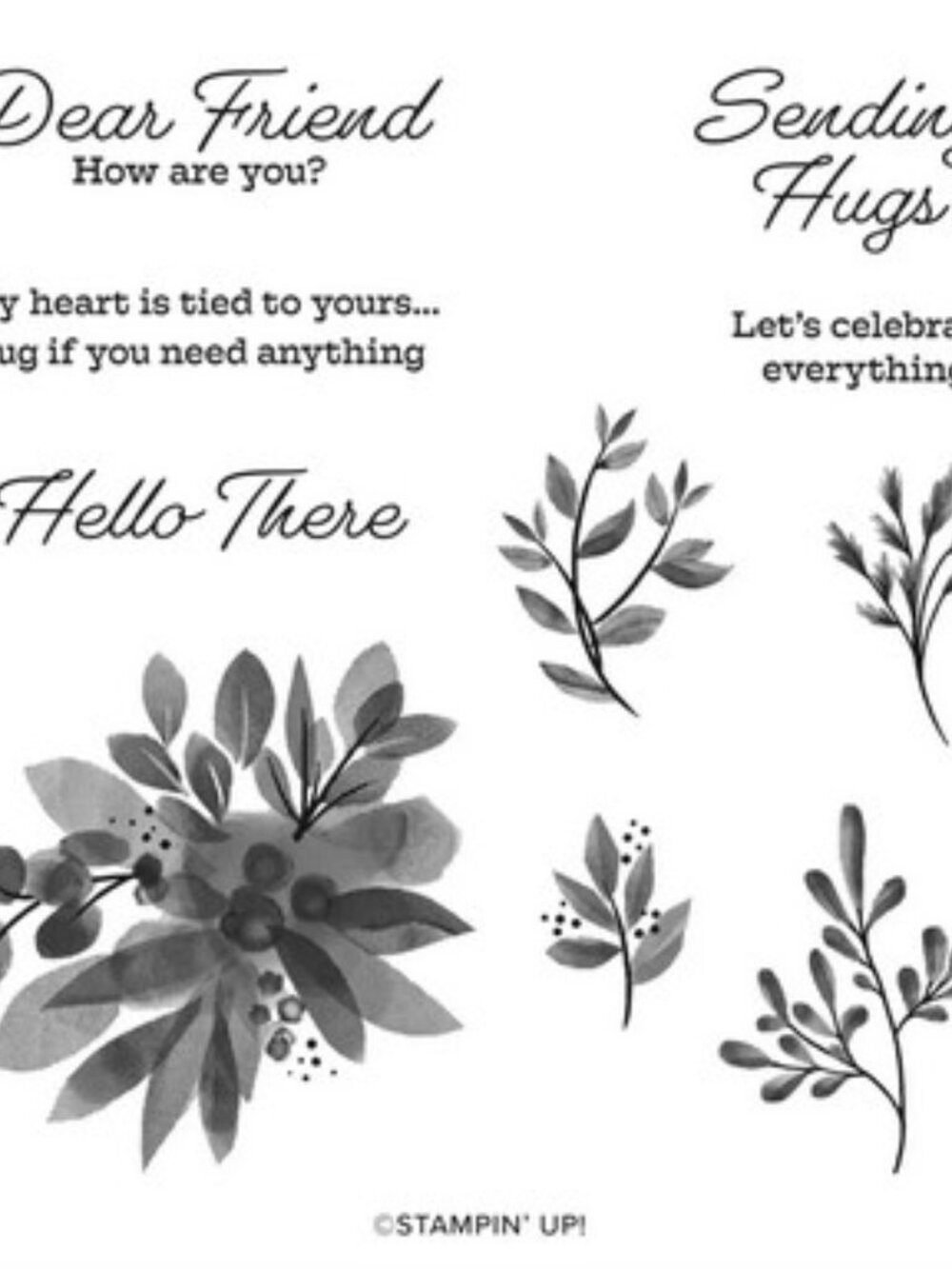 Stampin' Up Eden's Garden Stamps and Dies for papercrafts